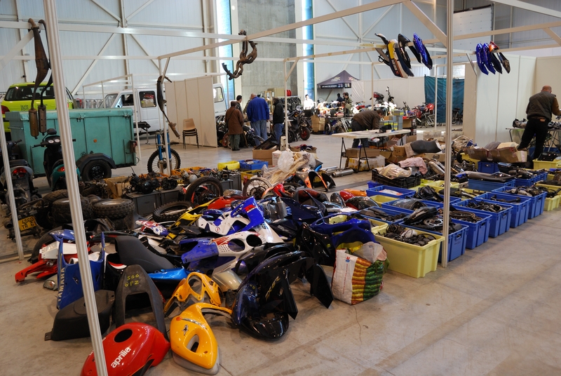 Puce_Niort_2009_025 [800x600].jpg